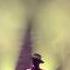 Gary Clark Jr Come Together Live The Lawn At White River State Park 8 6 2019