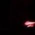 R E M Losing My Religion TORONTO Molson Amphitheatre LIVE