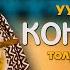 Дастанчы Улукбек Токтоболот уулунун ЧЫГАРМАЧЫЛЫК КЕЧЕСИ