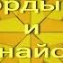 Секлитова Стрельникова Гордыня и зазнайство