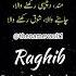 R A G H I B Raghib Name Namemeaning Urduname Meaning Nametag Nickname Thenamevault