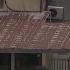 Red Wing Businesses Resilient I KMSP FOX 9