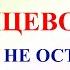 21 марта Весенний Солнцеворот Что нельзя делать 21 марта Народные традиции и приметы и молитвы