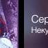 Сергей Трофимов Некуда бежать Я рождаюсь вновь 2000