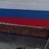 Выпускаю синицу на волю Глобальная Волна The Global Wave