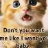 Don T You Want Me Like I Want You Baby Kitten Cat Dontyouwantme Song Shorts Lyrics Video