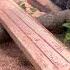 Chainsawskills Lumberjack Stihlms070 Sawmill Lumber Woodscraft Wood