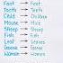 Singular Plural English Grammar Education Learning