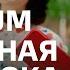МТС МТС Premium семейная подписка Спам