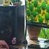 Stardew Valley Developer Is An Auburn Native KING 5 Evening