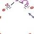 What Is Resonance Understanding Orgo Resonance Structures Vid 1 By Leah Fisch