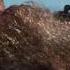 Cast Away Chuck Noland Found By Ship