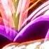Sting Desert Rose Official Video High Quality HD CC