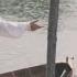 August Taylor Swift Music Video