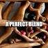 Crafting A Rustic Wine Rack From Recycled Driftwood