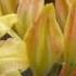 Bee Gees I Can T See Nobody HD