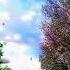YA İLAHİ SENDEN BİR DİLEĞİM VAR İLAHİSİ