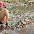 Stack The Stones Together To Form A Unique Fish Trap Catch A Giant School Of Fish