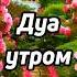 Дуа утро أذكار الصباح защитить вас вес день Утренний дуа каждое утро Morning Dua Dua Zikr