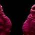 Chemical Brothers Got To Keep On Sophonic Disco Remix