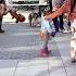 INCREDIBLE STREET PERFORMER ABCDEFU Karolina Protsenko Violin Cover