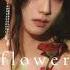 Jisoo Flower Speed Up