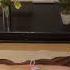 Rainbow Panties JAPANESE OIL MASSAGE PIJAT PLUS PLUS 18 004 002