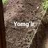 Nurzida Yomg Ir 2023