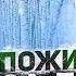ПОЖИЗНЕННОЕ ЗА ДОБЫЧУ БЕРЕЗОВОГО СОКА