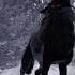 Wolfsounds Relaxinwolf Wildlife Horrorstories Wolfsong Scary Wolf Horror Wolfe Night Kids