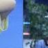 6 Year Old Battles Tears To Master Table Tennis In China
