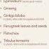 11 Aphrodisiac Foods