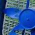 Lasko Limited Edition USA Box Fan Destruction Full Version