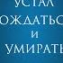 МО ЯНЬ УСТАЛ РОЖДАТЬСЯ И УМИРАТЬ