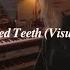 Nina Nesbitt Crooked Teeth Visualiser