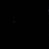 Squid On Snapper S Ledge During A Night Dive Music Https Www Bensound Com