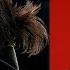 Metal Gear Solid V The Phantom Pain Game Review