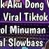 DJ TIKTOK TERBARU 2024 DJ WAKTU KU KECIL GATAU YANG MUNGIL SAYANG CULIK AKU DONG FULLALBUMSLOWBASS