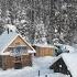 GRANDFATHER Has Been Living Alone In The Forest For 8 YEARS A Quiet Life Away From Everyone OFF GRID