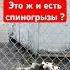 Мама одиночка которая работает на двух работах любит своих детей и никогда не останавливается