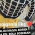 1000 Sõmdan Akajonlar Shoxruh Akang