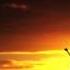 Jus Deelax Summer Original Mix
