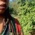 A Lovely Day Rebelassemblage Rebelnation Rebelassemblage Fyp Foryou Horses Shange Shorts