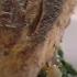 Gordon Ramsay S Flavorful Salmon And Sides Extended Version Season 1 Ep 1 THE F WORD