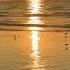 Taweel Al Shawq Nasheed Nature Felicity Of Life