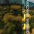 Qamar Radio Sessions 203 Progressive Selection