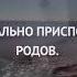 Мой малыш родится здоровым крепким физически и эмоционально Аффирмации для беременных