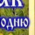 Кондак Входу Господню в Иерусалим аудио молитва с текстом и иконами