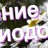 Значение имени Диодора Толкование судьба характер