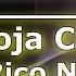 Doja Cat Tia Tamera Ft Rico Nasty Karaoke